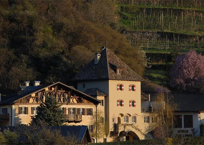 Weingut Koefelgut - Turris Vini