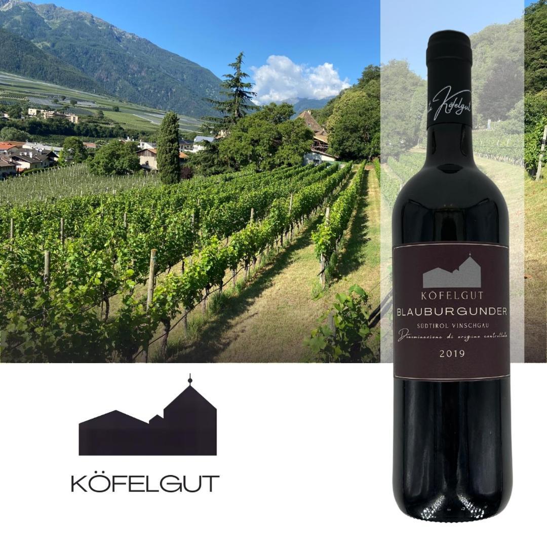 Weingut Koefelgut - Turris Vini *