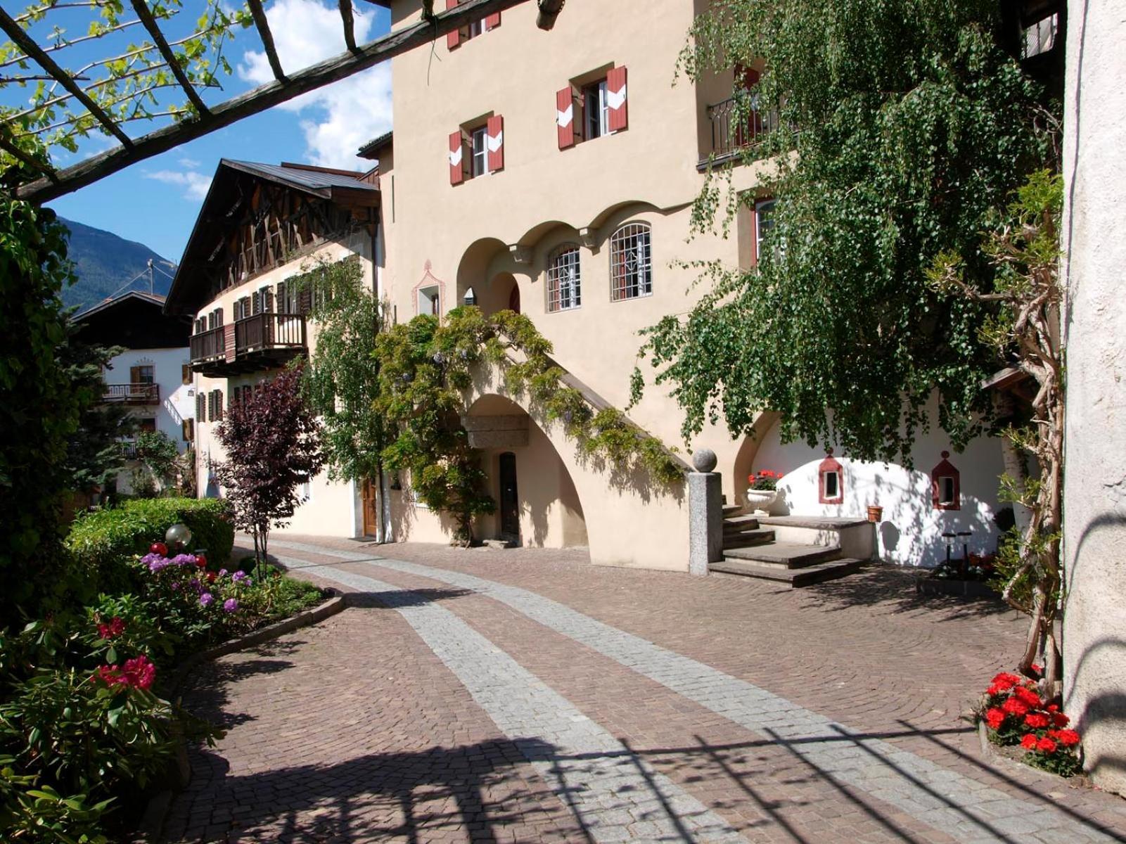 Weingut Koefelgut - Turris Vini *