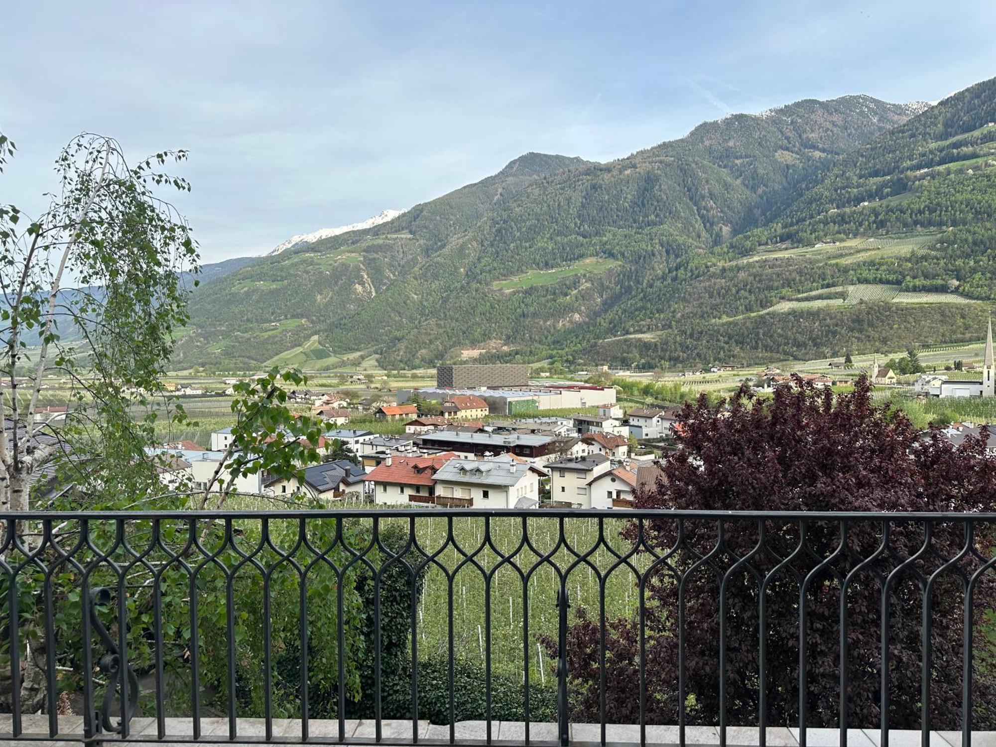 Weingut Koefelgut - Turris Vini * Castelbello